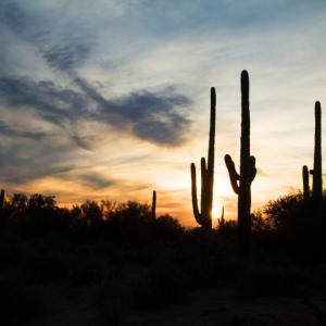 Arizona - © Nandy