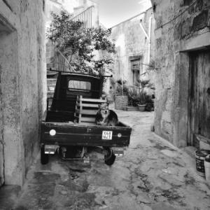 Triporteur - &copy; Nandy